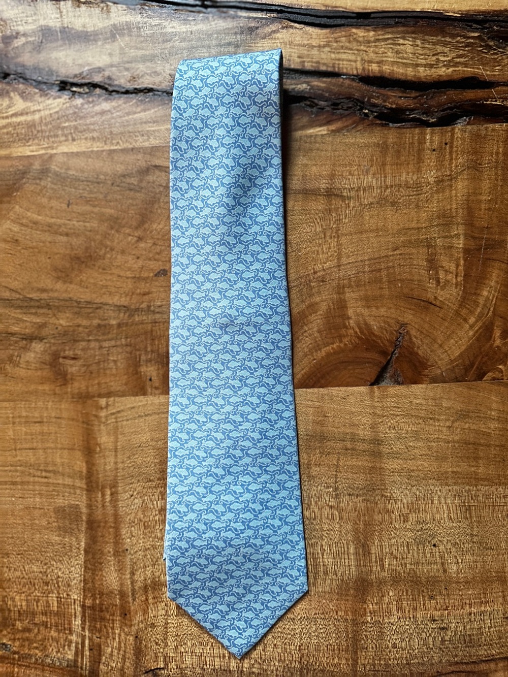 Light Blue Patterned Men's Tie